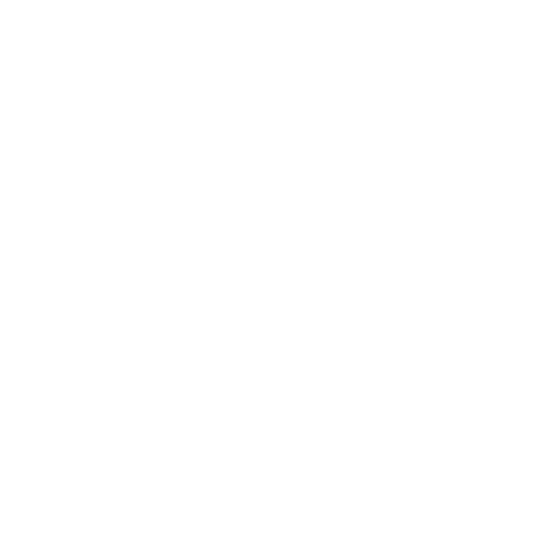 Janice Armbrust